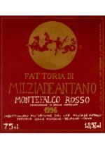 Milziade Antano - Rosso di Montefalco Umbria 2020 (750ml)